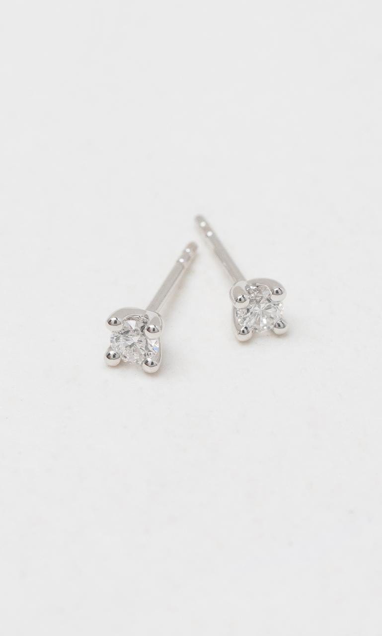 2024 © Hogans Family Jewellers 18K WG 0.25ct TDW Round Brilliant Diamond Solitaire Stud Earrings