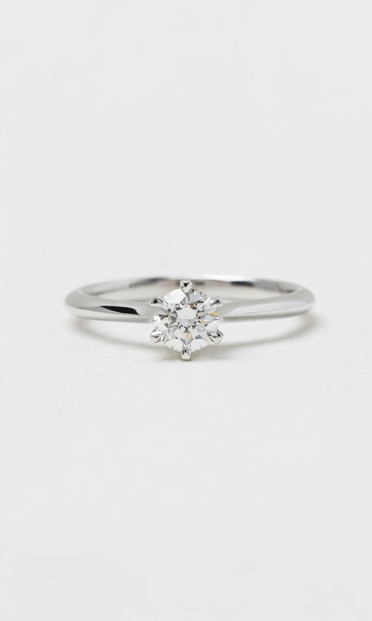 2024 © Hogans Family Jewellers 18K WG 0.40ct Round Brilliant Cut Solitaire Diamond Ring