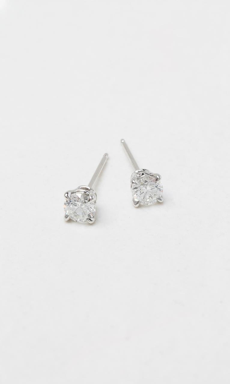 2024 © Hogans Family Jewellers 18K WG 0.60ct TDW Round Brilliant Diamond Stud Earrings