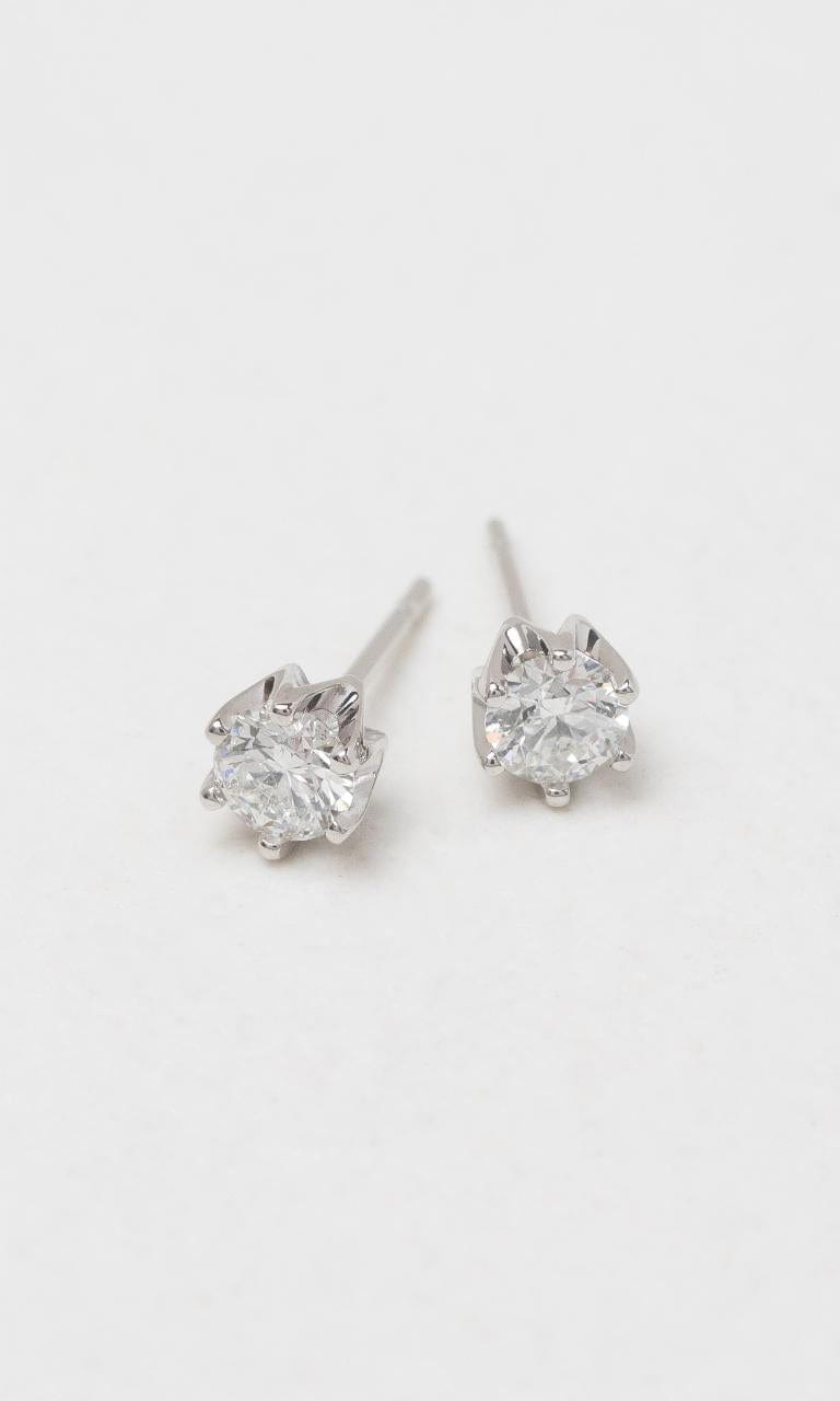 2024 © Hogans Family Jewellers 18K WG 0.80ct TDW Round Brilliant Diamond Solitaire Stud Earrings