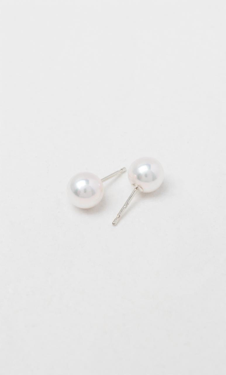 2024 © Hogans Family Jewellers 18K WG 6-5.5mm Akoya Pearl Stud Earrings