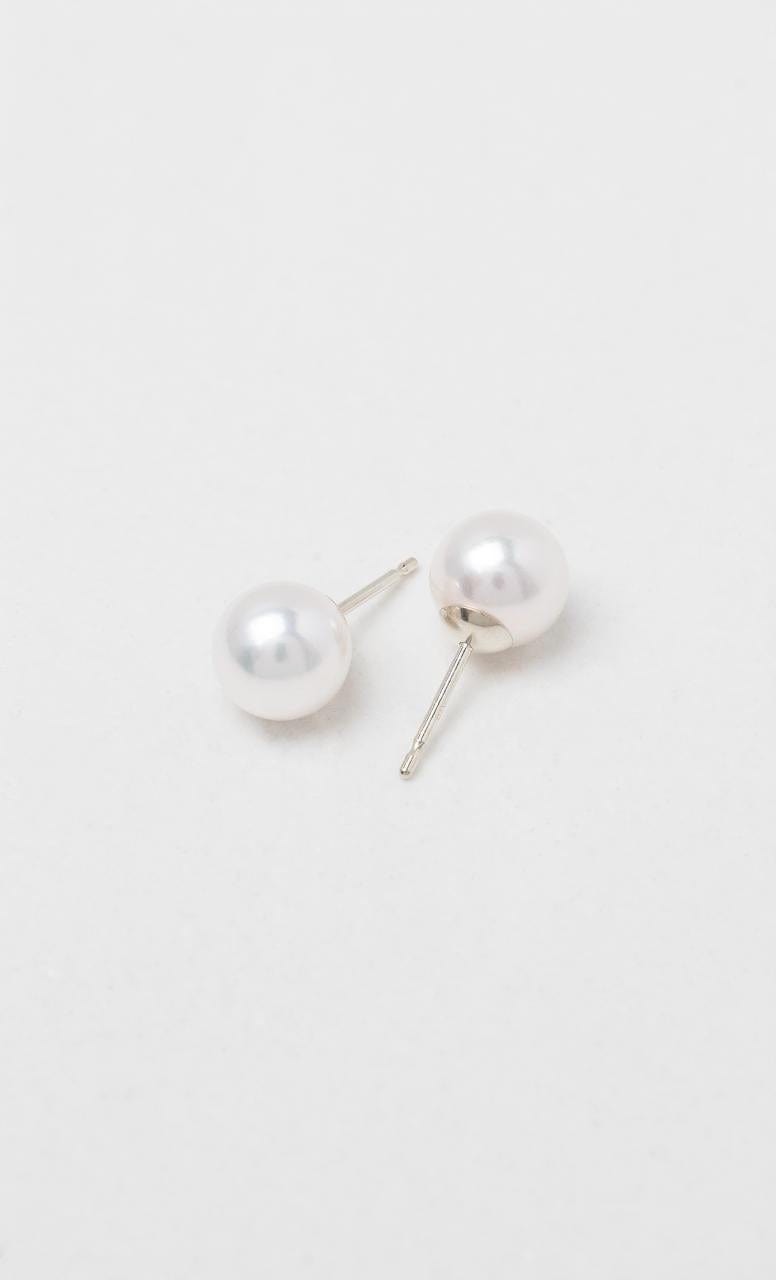 2024 © Hogans Family Jewellers 18K WG 7-7.5mm Akoya Pearl Stud Earrings