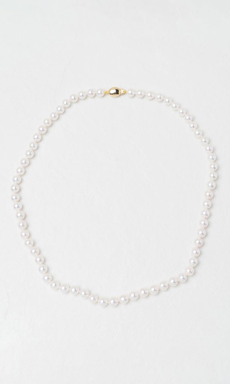 2024 © Hogans Family Jewellers 18K YG Akoya Pearl Necklace