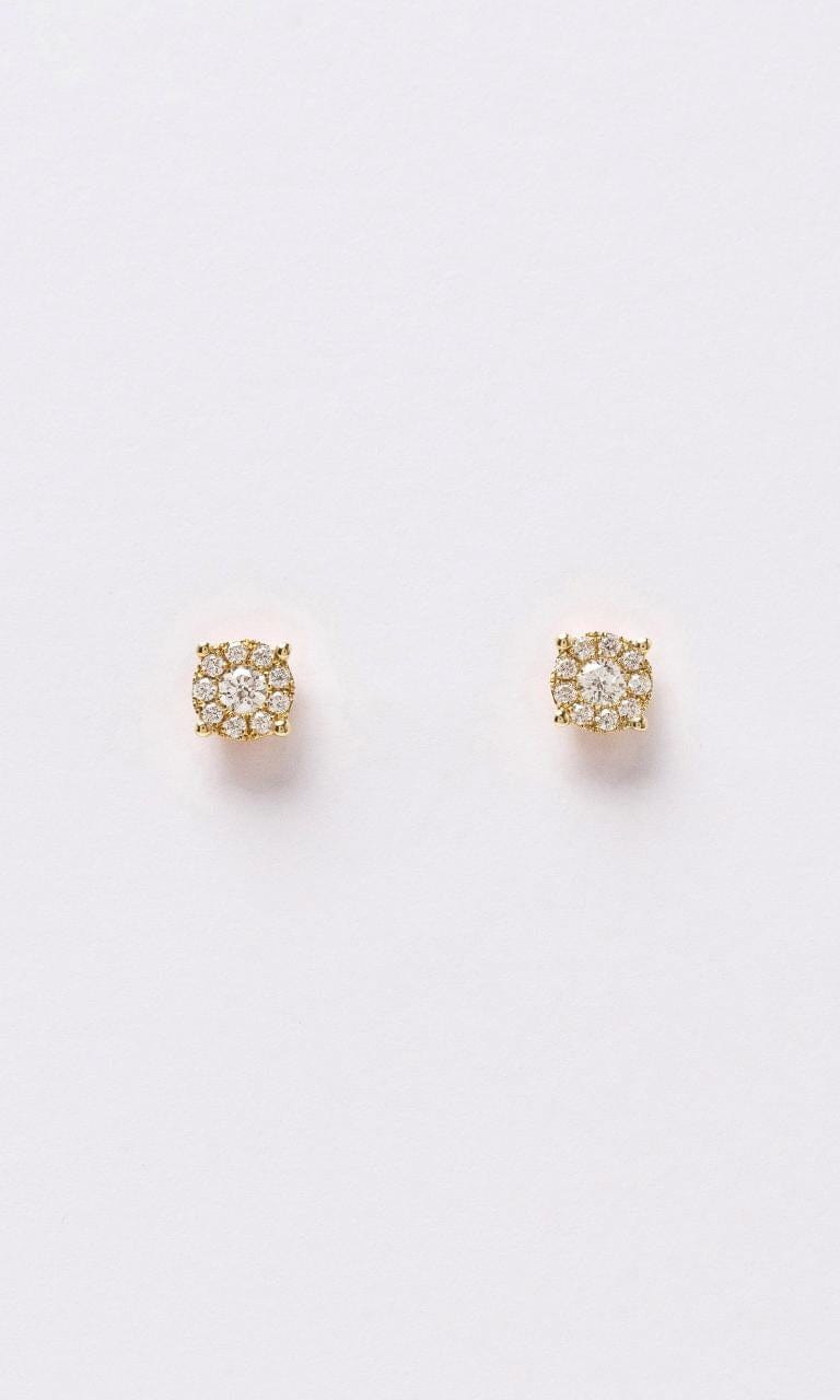 2024 © Hogans Family Jewellers 18K YG Round Brilliant Diamond Halo Stud Earrings