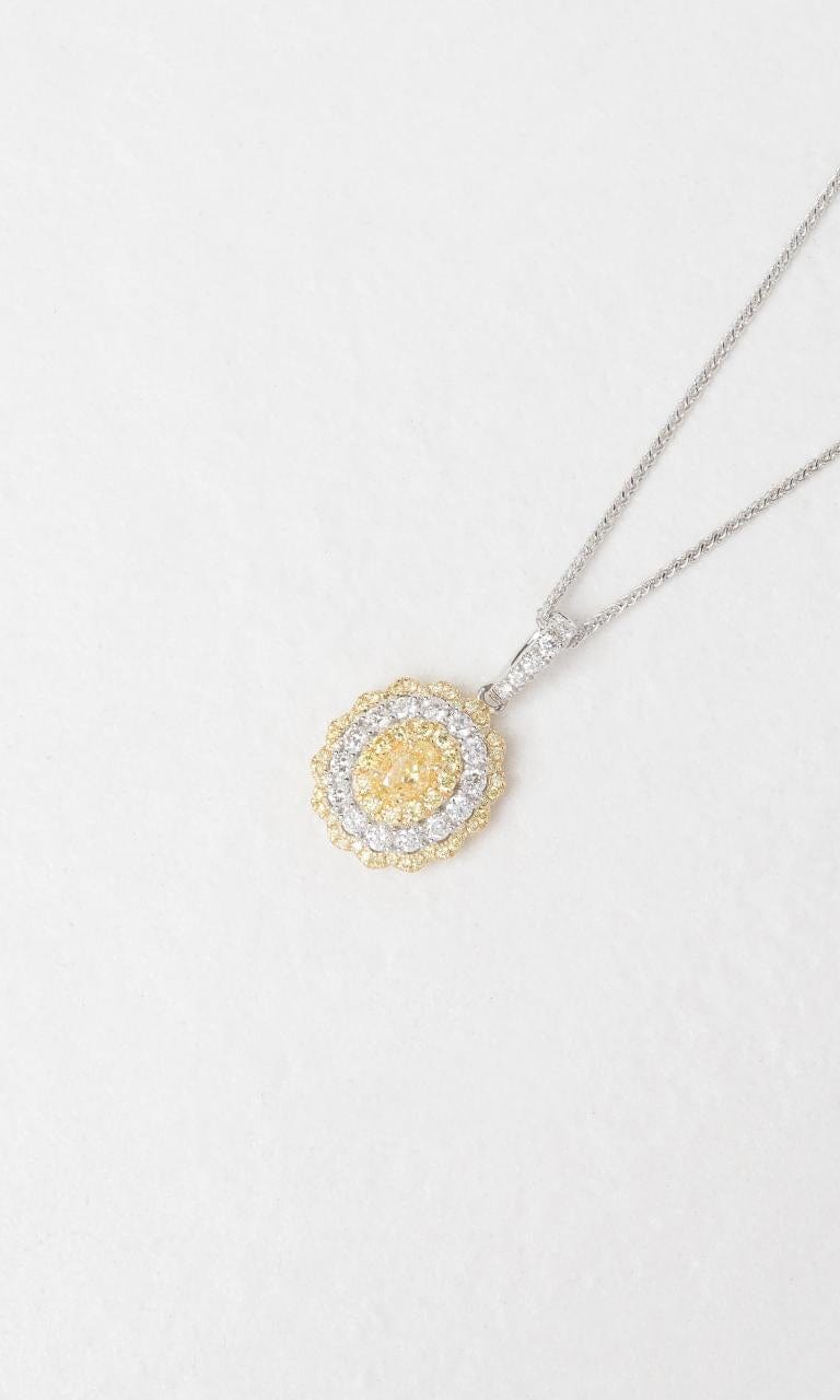 2024 © Hogans Family Jewellers 18K YWG Oval Yellow & White Diamond Pendant