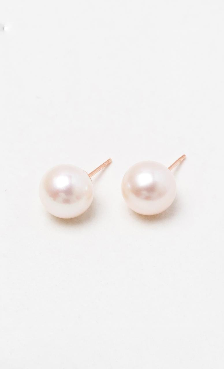 2024 © Hogans Family Jewellers 9K RG Freshwater Pearl Stud Earrings