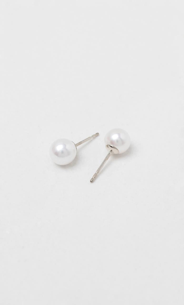 2024 © Hogans Family Jewellers 9K WG 7.5-8mm Freshwater Pearl Stud Earrings