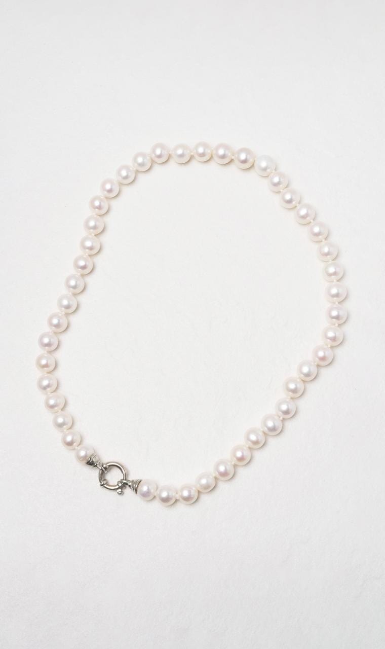 2024 © Hogans Family Jewellers 9K WG Freshwater Pearl Necklace with Euro Bolt Clasp