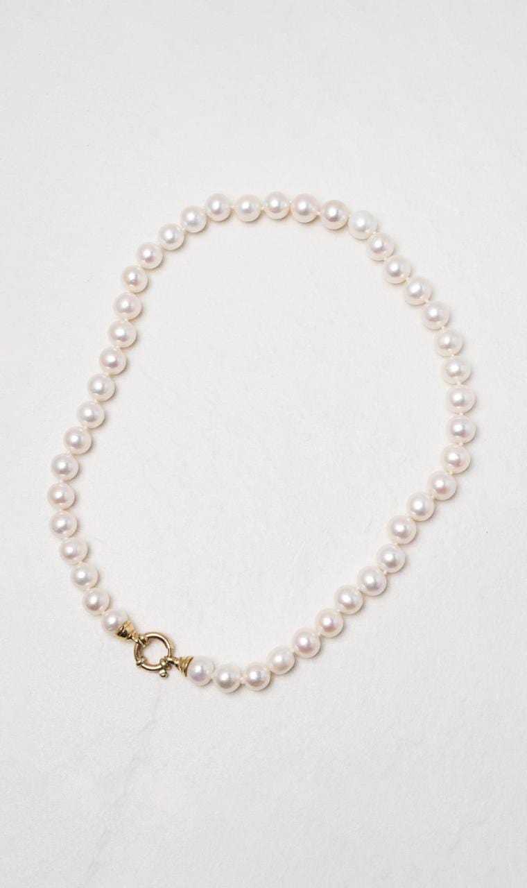 2024 © Hogans Family Jewellers 9K YG Freshwater Pearl Necklace with Euro Bolt Clasp