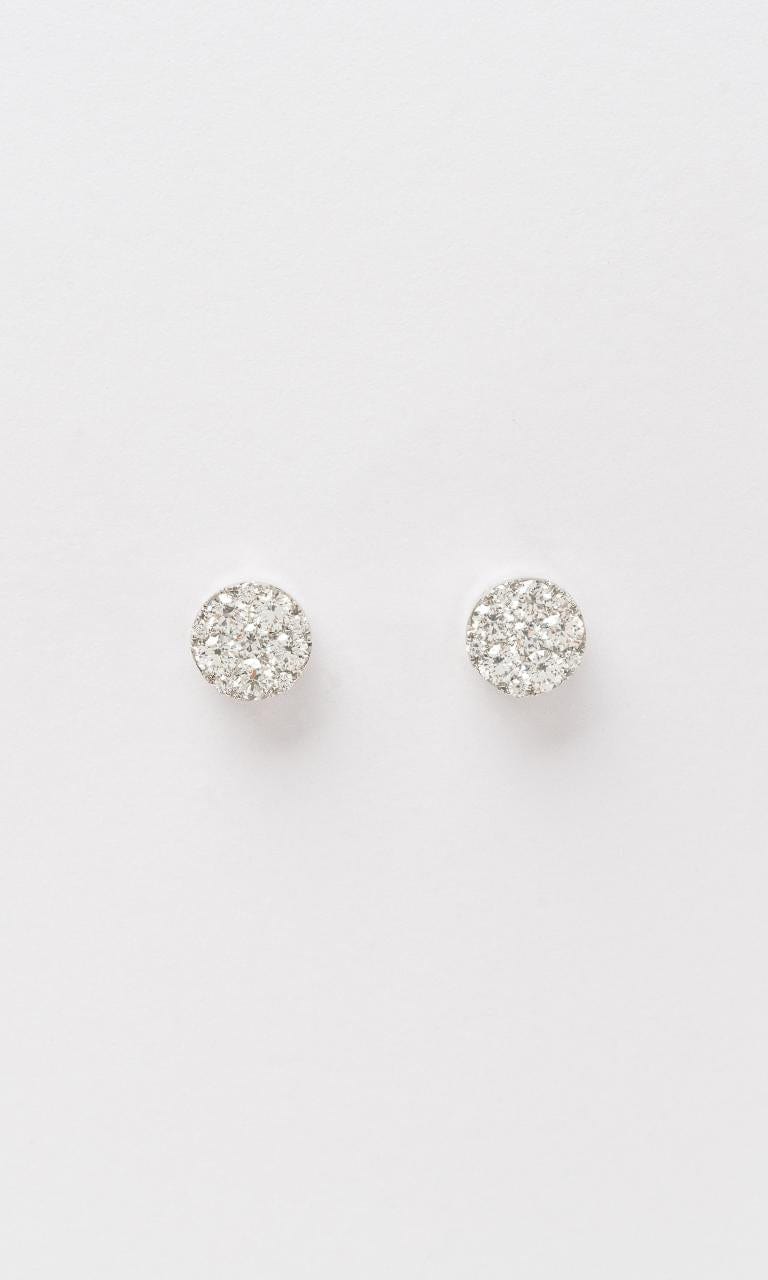 Hogans Family Jewellers 18K WG Diamond Cluster Stud Earrings