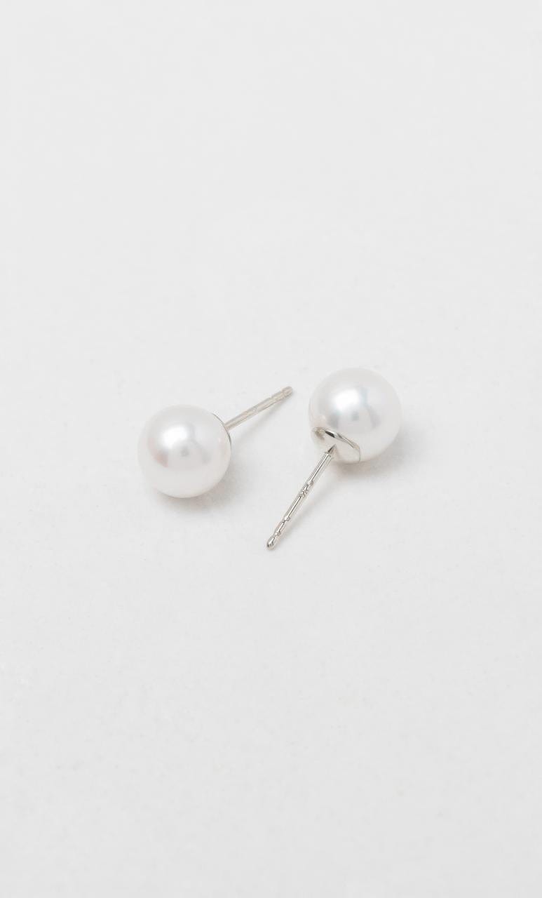 Hogans Family Jewellers 9K WG 8-8.5mm Freshwater Pearl Studs