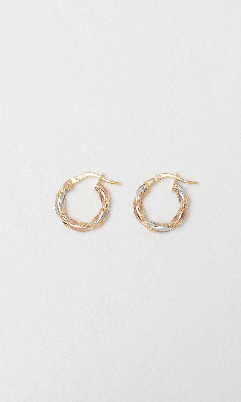 Hogans Family Jewellers 9K YWG 10mm Twist Hoop Earrings